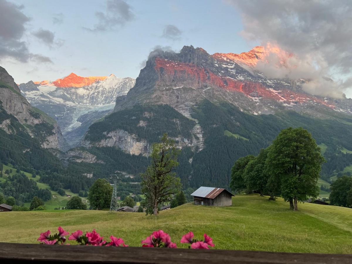 Hotel Bodmi Grindelwald Esterno foto