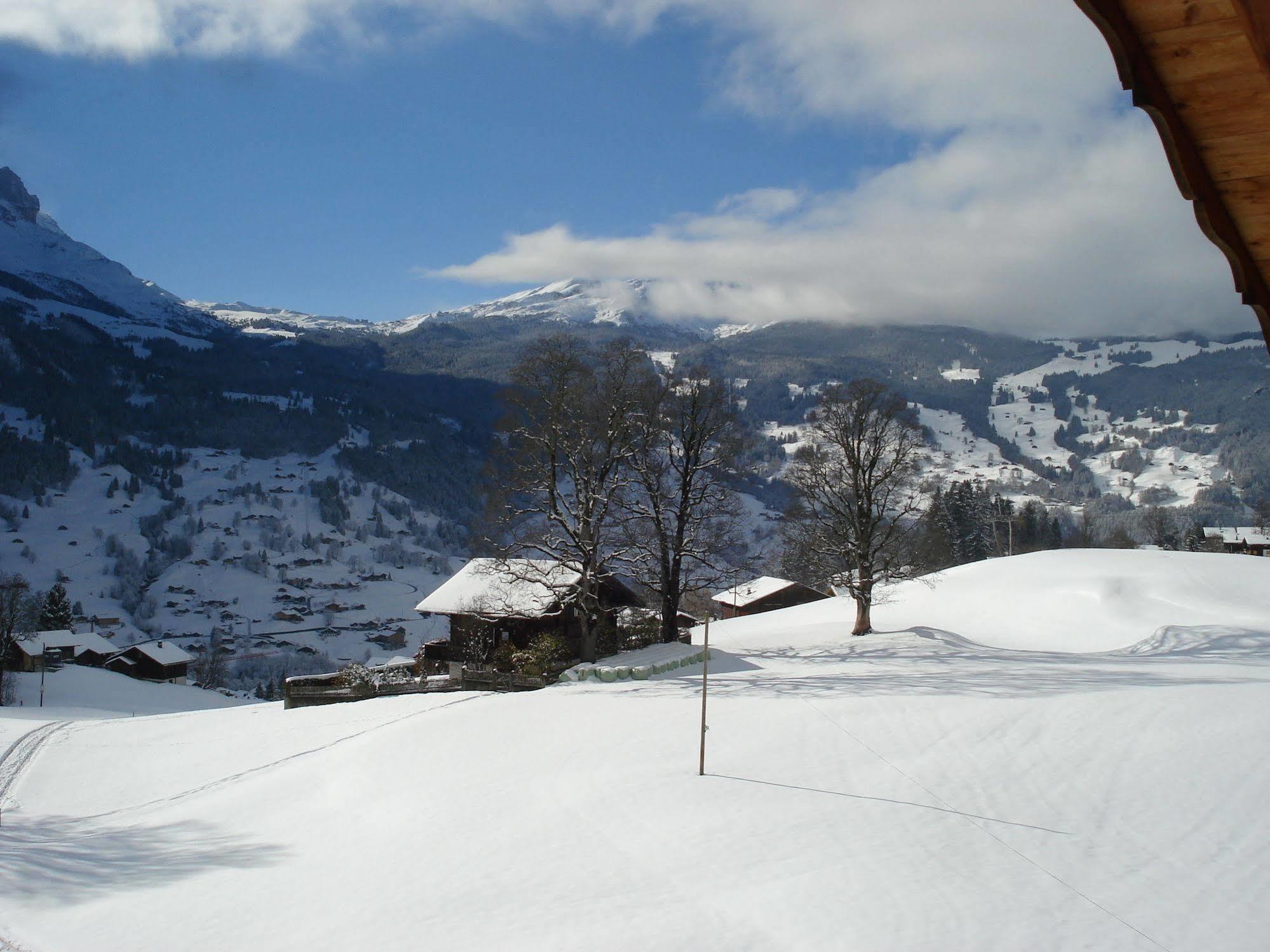 Hotel Bodmi Grindelwald Esterno foto