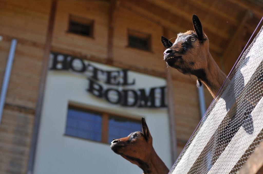 Hotel Bodmi Grindelwald Esterno foto